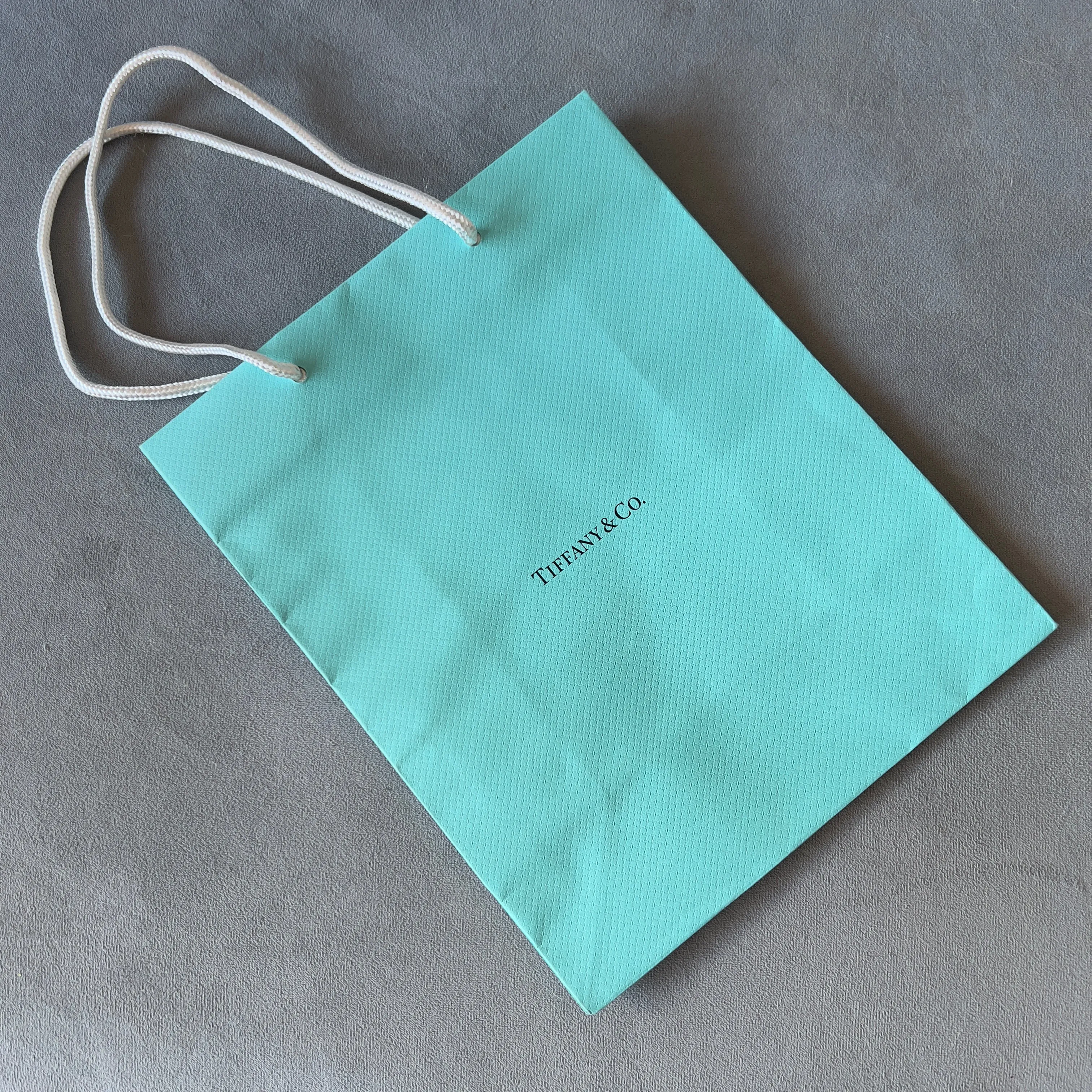 TIFFANY & CO. Shopping Gift Bag